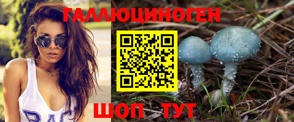 Чебоксары  Галлюциногенные грибы мухоморы  Псилоцибиновые грибы MAGIC MUSHROOMS  Вход с VPN 