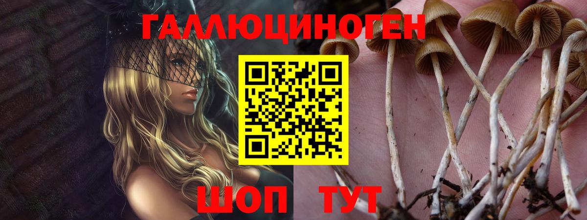 Псилоцибиновые грибы прущие грибы Чебоксары